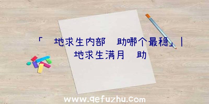 「绝地求生内部辅助哪个最稳」|绝地求生满月辅助